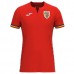 Seconda Maglia Romania Euro 2024 Seconda Maglia Romania Euro 2024